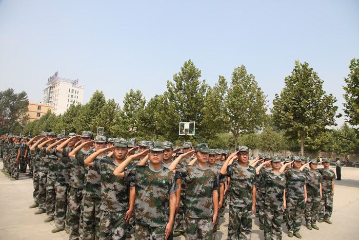 1523052239[1].jpg